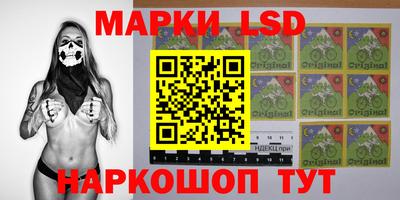 Альфа ПВП Ачхой-Мартан
