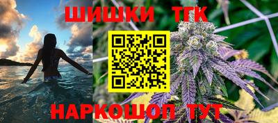 Альфа ПВП Ачхой-Мартан