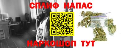 сатива Аша