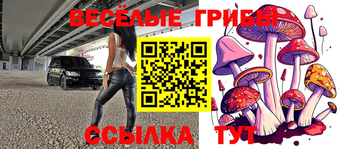 Ачинск  Галлюциногенные грибы Psilocybine cubensis  Вход с VPN 
